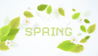 树叶矢量春天背景