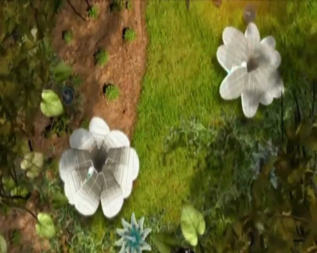 植物鲜花动态绽放视频实拍素材