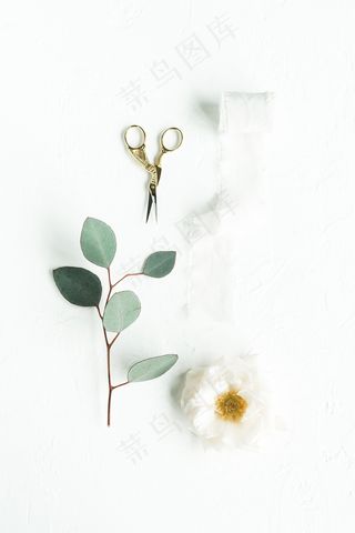 简约小清新文艺风插花静物摆拍背景