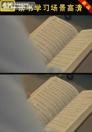 4K高清读书学习看书场景视频素材