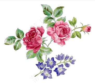 精美红色花瓣 精美红色花瓣