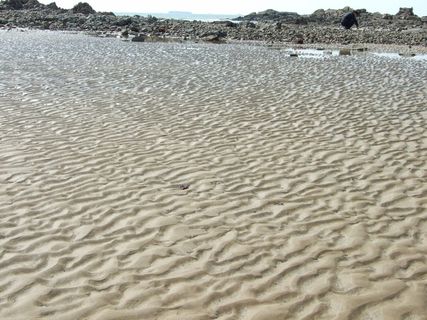 带花纹的海滩图片