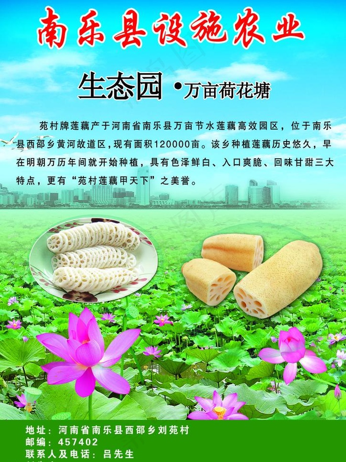 南乐县设施农业图片(2740X3874(DPI:120))psd模版下载