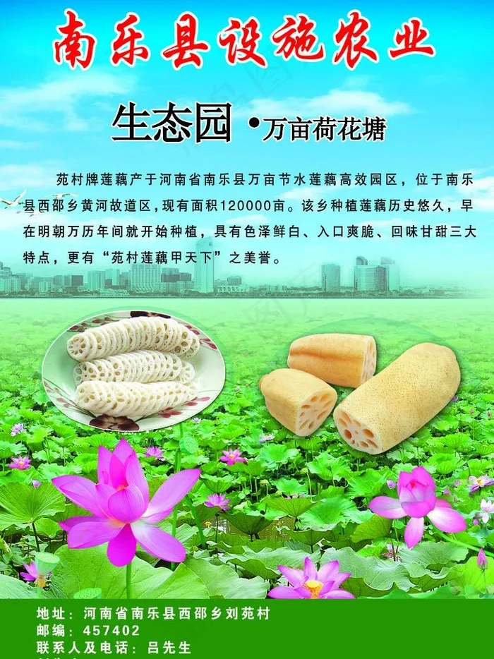 南乐县设施农业图片(2740X3874(DPI:120))psd模版下载