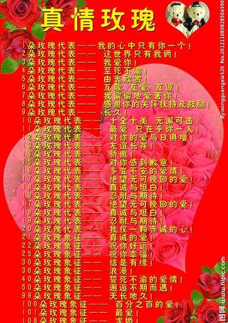 真情玫瑰花语图片