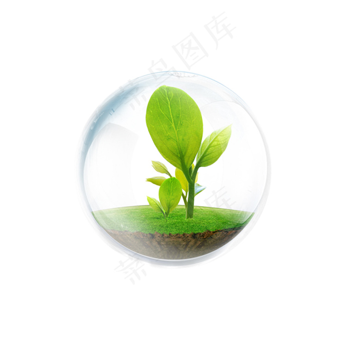 爱护植物植树节312 气泡 植物 春天