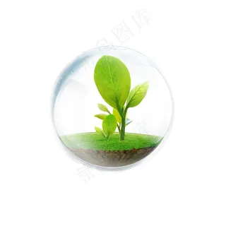 爱护植物植树节312 气泡 植物 春天