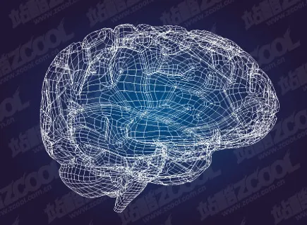 大脑的三维模型风格矢量素材