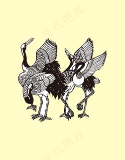 丹顶鹤黑白图案素材