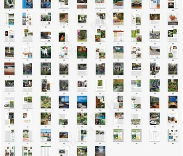 园林景观杂志图片 园林景观杂志图片