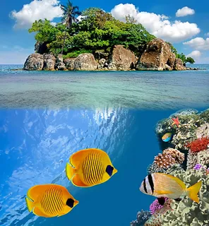 创意海滩背景素材图片