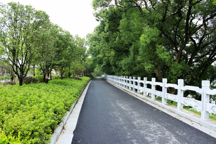 柏油路石护栏图片