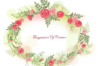 韩国植物装饰边框矢量图49