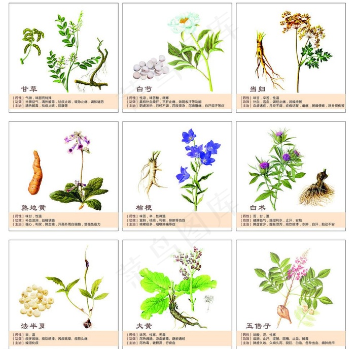 中药画框图片cdr矢量模版下载