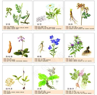 中药画框图片 中药画框图片