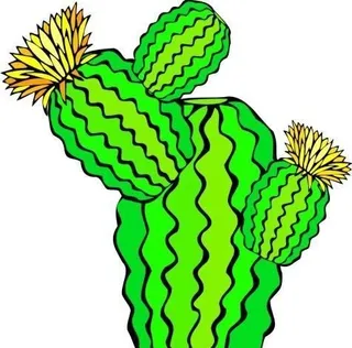 仙人掌 热带植物 矢量 EPS_0...