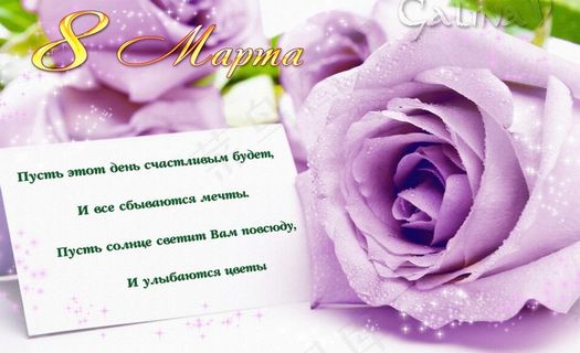 紫色玫瑰卡片图片