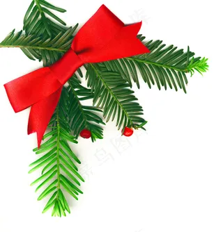 美丽的圣诞节装饰白色隔离