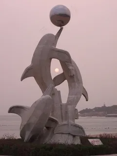 海豚表演图片 海豚表演图片