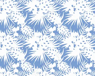 日式-小清新芭蕉