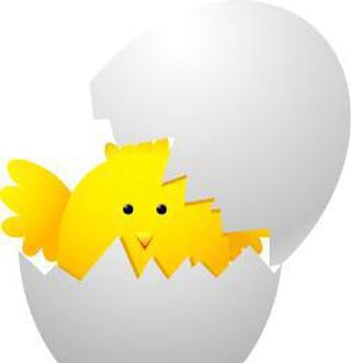 卡通动物小鸡PSD素材