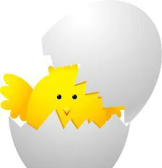 卡通动物小鸡PSD素材