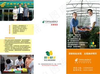 中国邮政银行三折页PSD素材