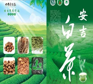 白茶广告图片