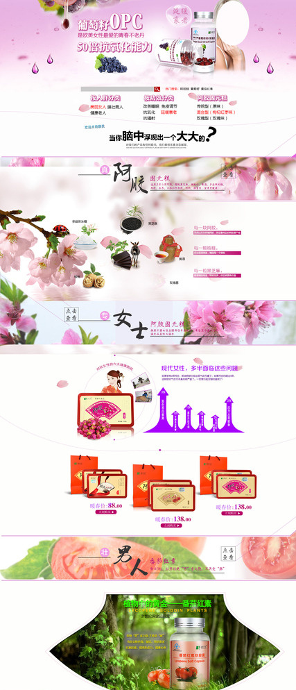 进口食品展板图片