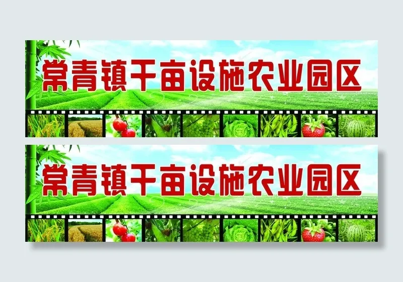 常青镇干亩设施农业园区图片