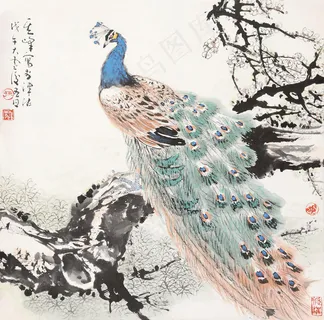 孔雀图图片 孔雀图图片