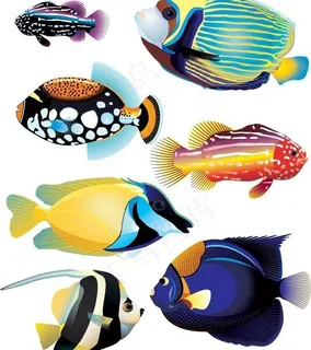 一些丰富多彩的海洋鱼矢量素材