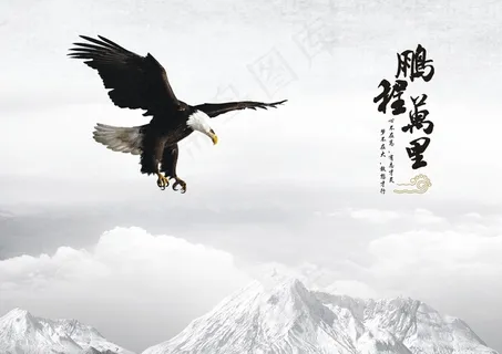 鹏程万里画册封面 鹏程万里画册封面