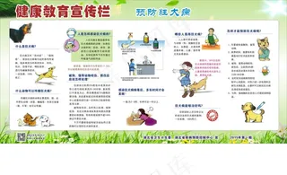 健康教育宣传栏 预防狂犬病