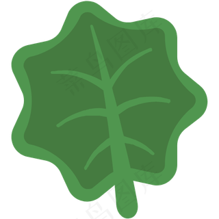 环境 绿色 叶子 大自然 植物