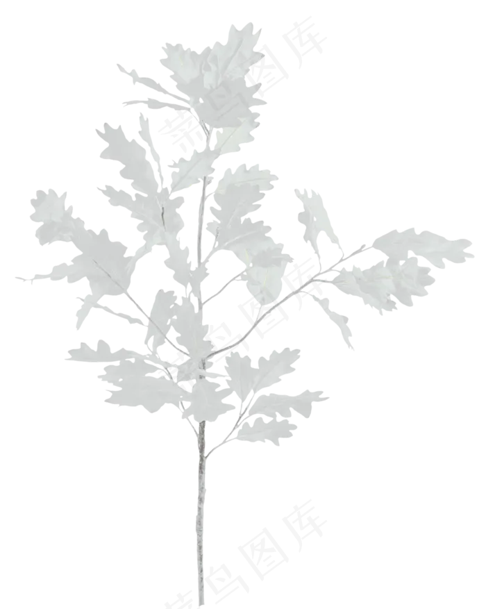 结婚浪漫玫瑰小提琴免扣PNG素材(1022X1280)