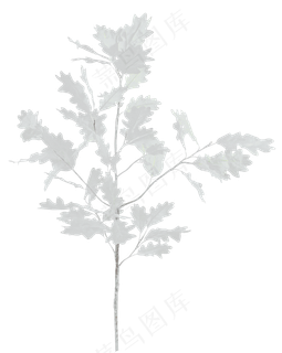 结婚浪漫玫瑰小提琴免扣PNG素材