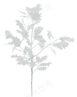 结婚浪漫玫瑰小提琴免扣PNG素材