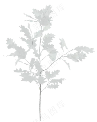 结婚浪漫玫瑰小提琴免扣PNG素材