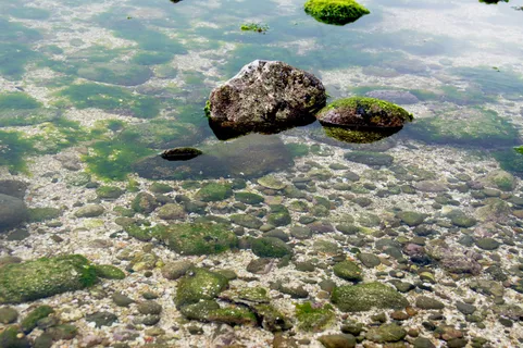 *北海岸图片 *北海岸图片