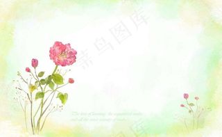 玫瑰花信纸背景图片