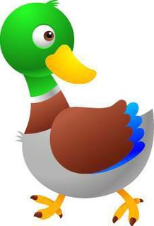 卡通动物鸭子PSD素材