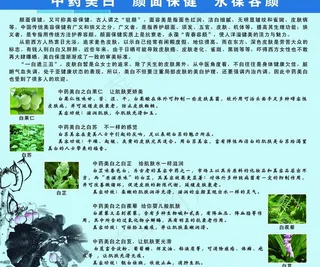 中药美白颜面保健永葆容颜图片