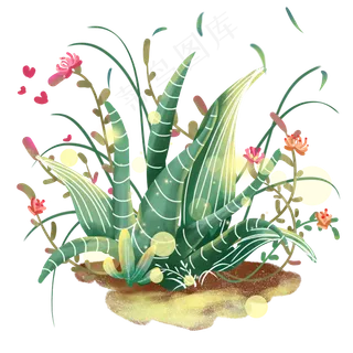 夏日草地上的芦荟,免抠元素