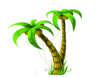 矢量椰子树图片
