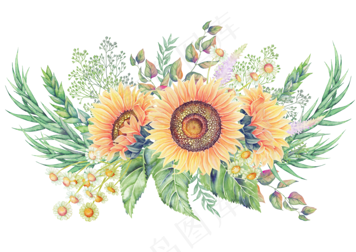 手绘鲜花向日葵设计元素(5000X2697)