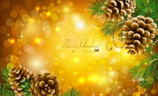 精美圣诞节背景矢量素材二