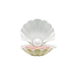 尊贵VIP企业文化贝壳珍珠珍贵珍宝...