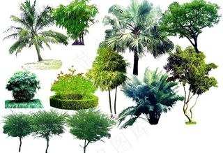 园林景观花草树林透视鸟瞰psd分层...