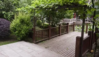 上海鲁迅公园图片